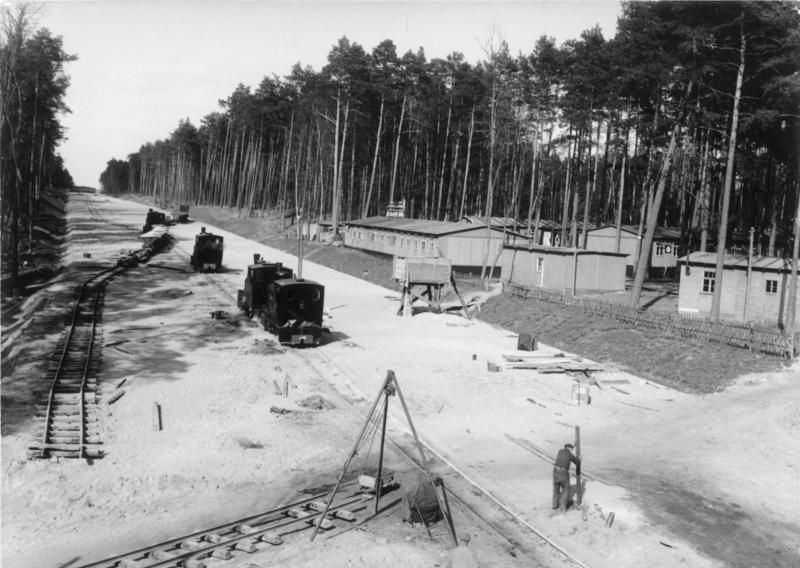 Uma autobahn em construção no meio de uma floresta.